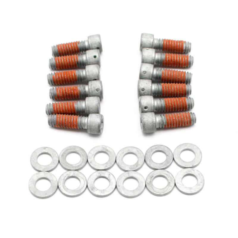 WIL Bolt Kit - Wilwood DRILLED Rotor Bolt Kit 1/4-20x.75 LG