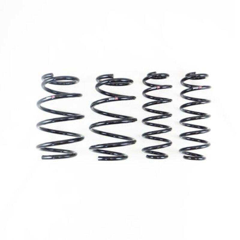 RSR Down Sus Springs - RS-R 2022+ Lexus NX350h FWD / NX350 AWD Down Sus Springs
