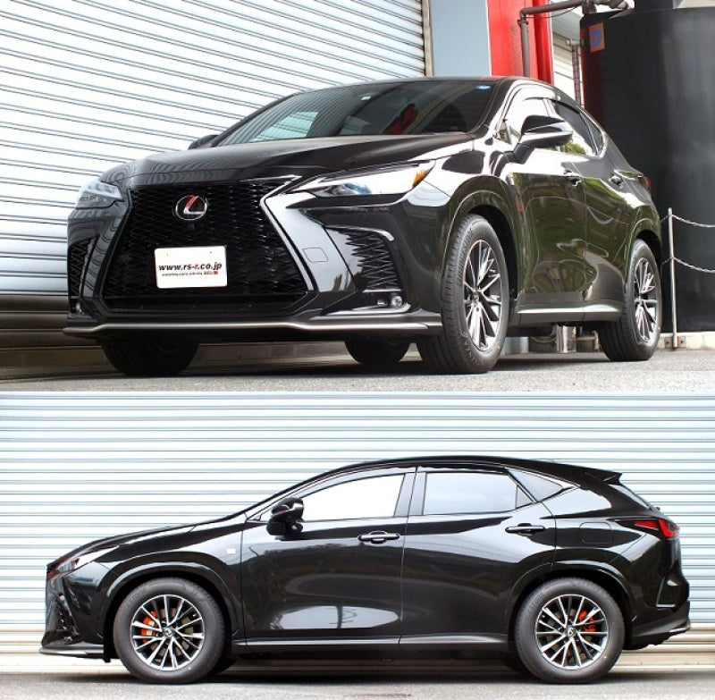 RSR Down Sus Springs - RS-R 2022 Lexus NX450h AWD Down Sus Springs