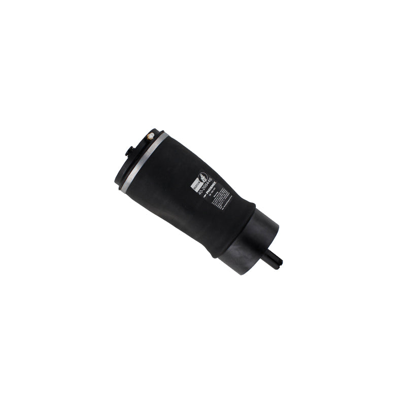 BIL B3 Series Shocks - Bilstein 17-20 Land Rover Discovery B3 OE Replacement Air Suspension Spring - Rear