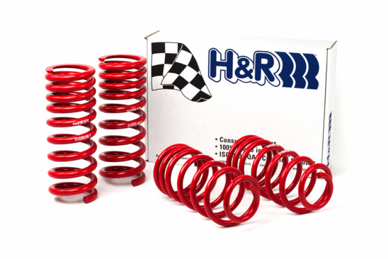 HR Race Springs - H&R 94-95 Ford Mustang/Mustang Cobra V8 Race Spring