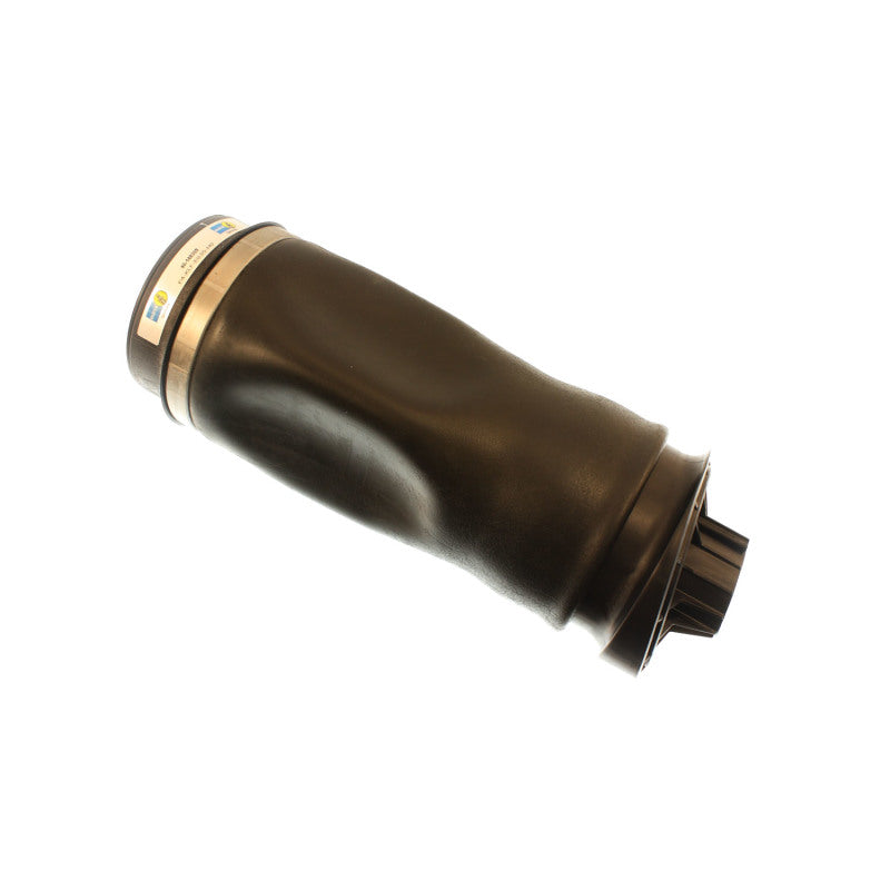 BIL B4 Series Shocks - Bilstein B4 2006 Mercedes-Benz R350 4Matic Rear Air Bag