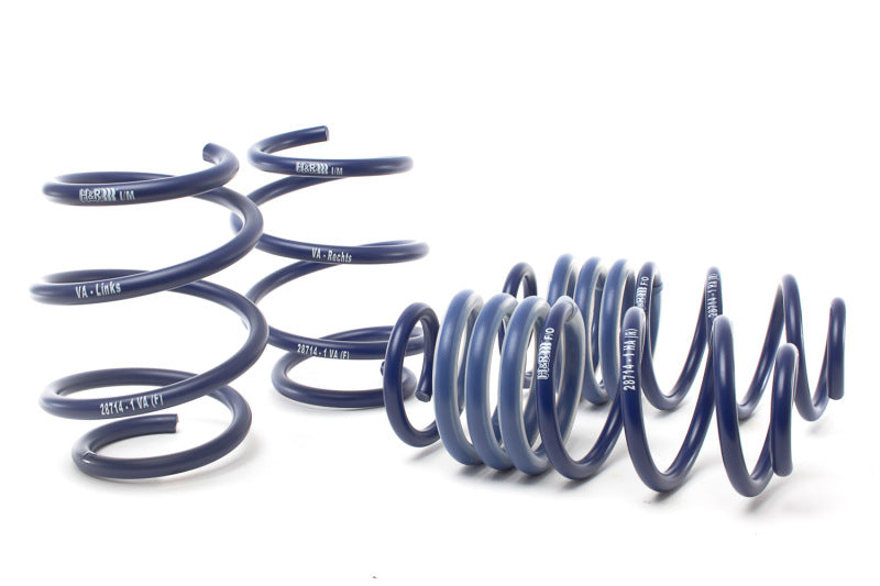 HR Sport Springs - H&R 17-21 Honda Civic Type-R FK8 Sport Spring
