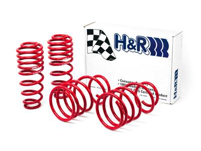 HR Race Springs - H&R 05-09 Ford Mustang/Convertible/GT/Shelby GT/Shelby GT-H V6/V8 Race Spring