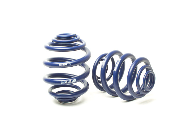HR Sport Springs - H&R 94-03 Volkswagen Eurovan T4 Sport Spring