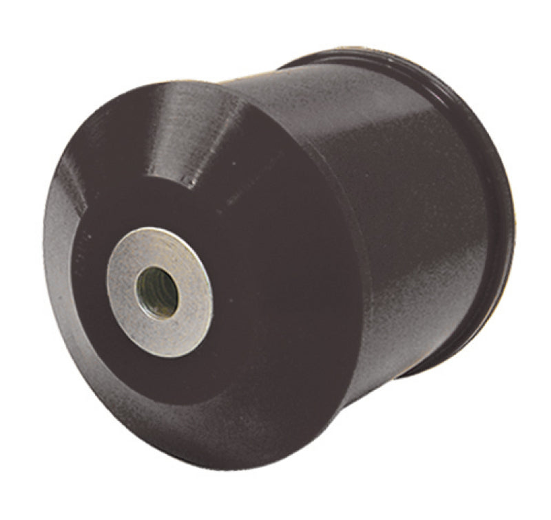 PRO Engine Mounts - Blk - Prothane 02-06 Nissan Sentra SE-R Rear Motor Mount Insert - Black