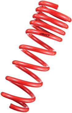 TAN Springs - DF210 - Tanabe DF210 Springs 12-13 Toyota Prius C