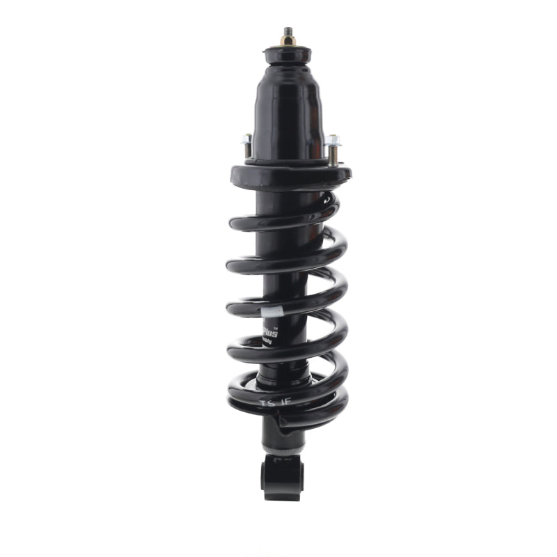 KYB Shocks & Struts Strut Plus - KYB Shocks & Struts Strut Plus Left Rear 03-11 Honda Element