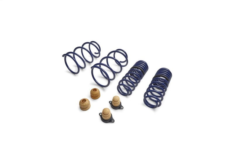 FR Spring Kits - Ford Racing 2012-2013 BOSS 302 Lowering Springs