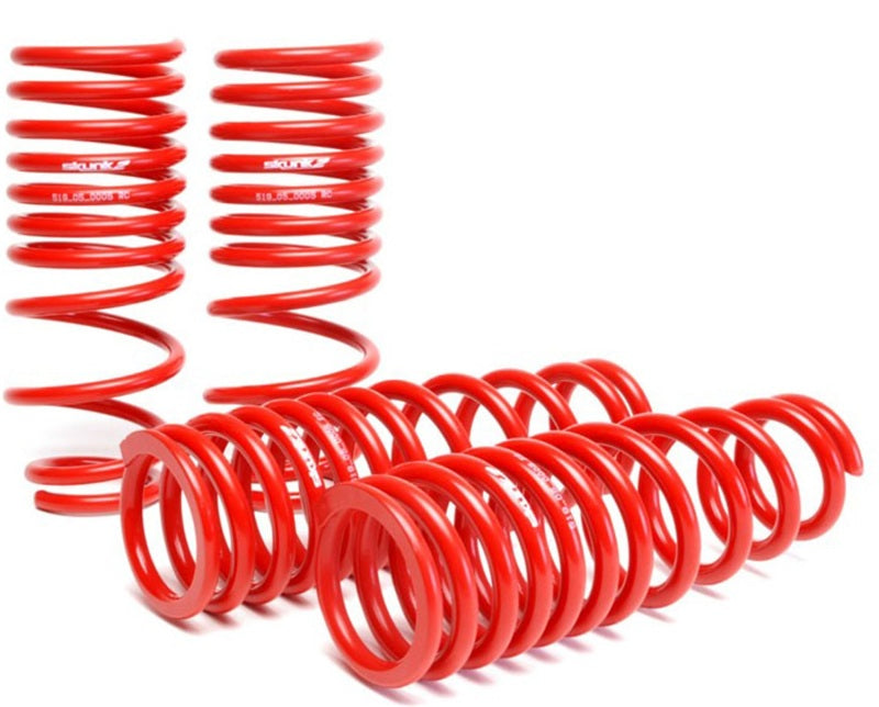 SK Lowering Springs - Skunk2 94-01 Acura Integra Lowering Springs (2.50in - 2.25in.) (Set of 4)