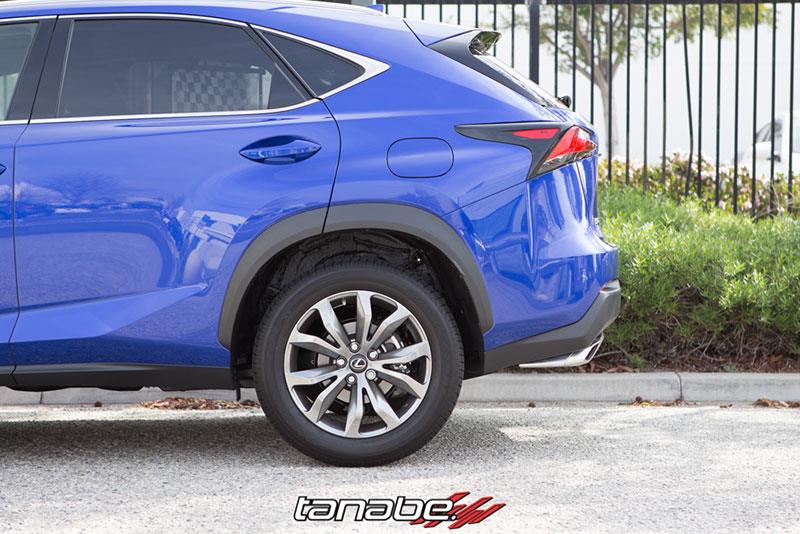 TAN Springs - NF210 - Tanabe NF210 Springs 15-16 Lexus NX200T F-Sport FWD