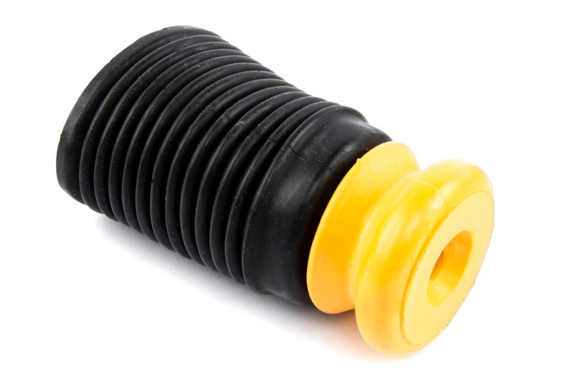 DNN Handling Kits - Dinan 20-25 BMW X4 M Handling Kit