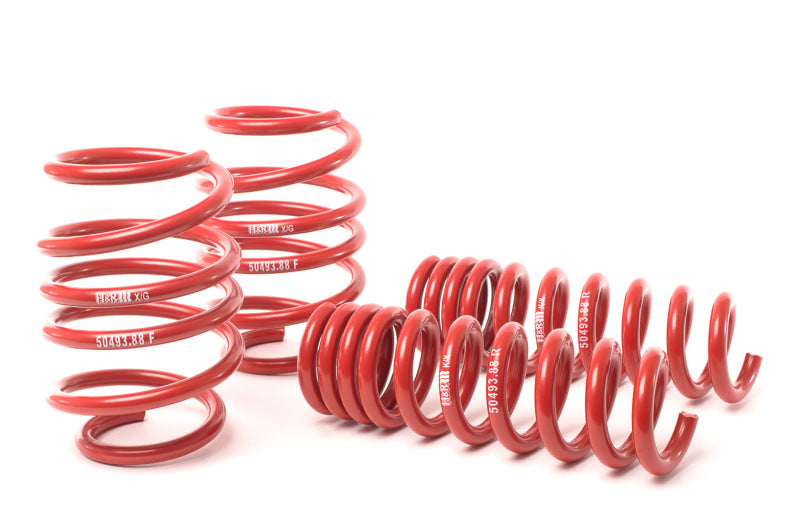 HR Race Springs - H&R 08-13 BMW M3 Coupe/M3 Sedan E92 Race Spring